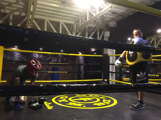 Gold's Gym Aguascalientes - Thumbnail