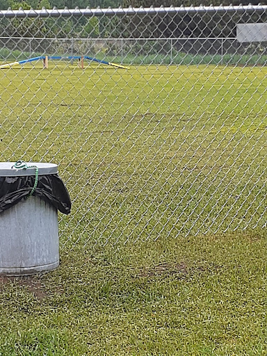TOP Dog Park Gallery - United States