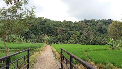 Photos of Hutan Kota Bungkirit