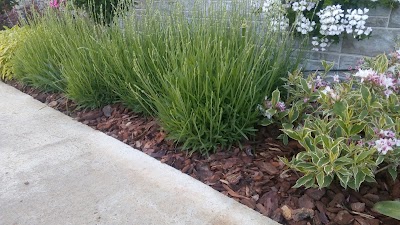 Photos of Градински център-"Ivis Garden"
