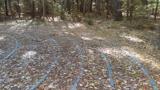 Labyrinth in the Woods - Thumbnail