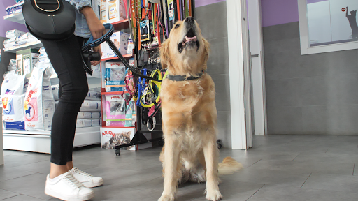 Clínica Veterinaria Catro Patas