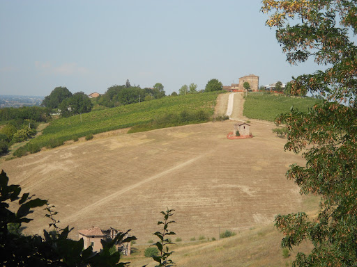 Piazza D'Armi - Visual