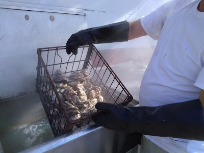 U.S. Oyster Festival