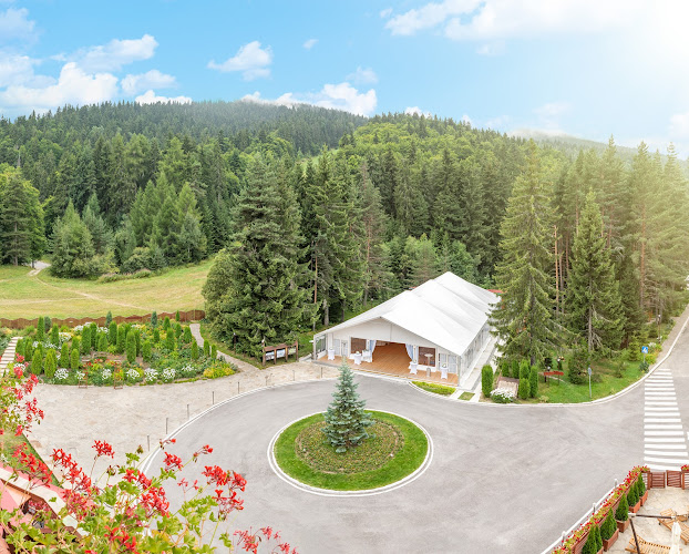 Yastrebets, 2010 Боровец