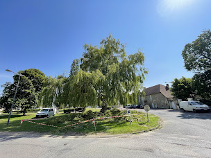 Photo n°6 de Arbocèdre à Val d'Arry (Service d'élagage)
