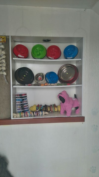 Photos of Clinicas Veterinarias Paws Vet / Veterinarios Leon
