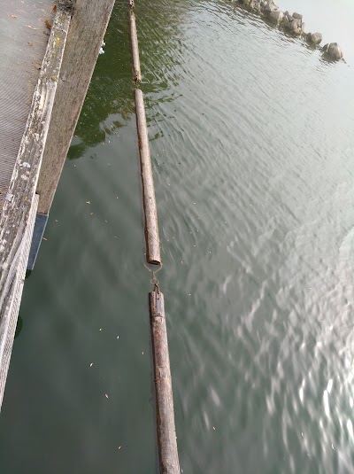 Photos of Rheindeltahaus