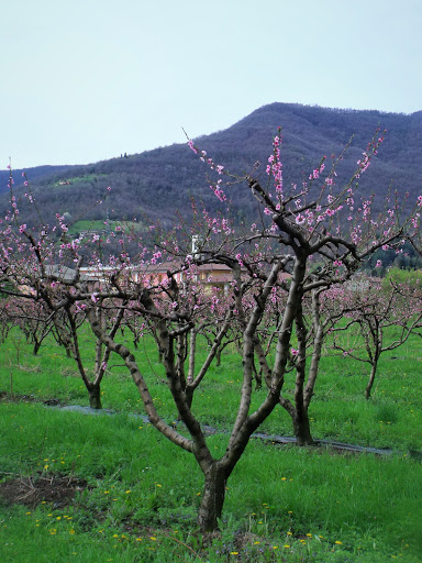 Comune di Villa Carcina - Thumbnail