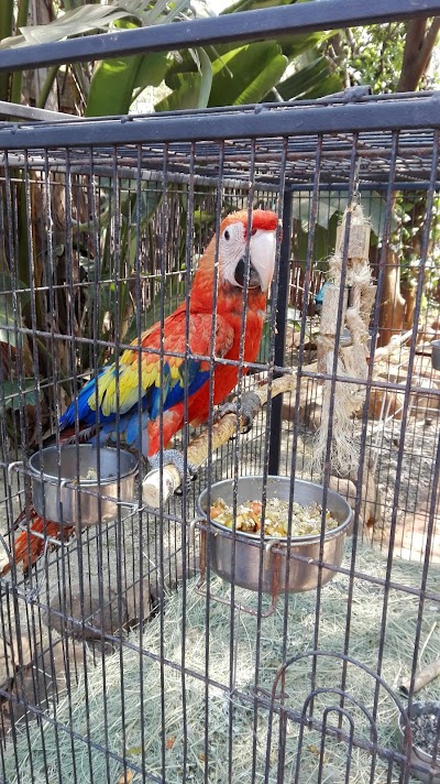 Photos of Bester Birds Zoo