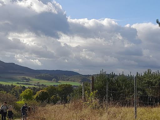 SV "Leinetal" Uder e. V. - Visual