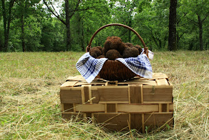 Photo n°4 de Truffes Passion 