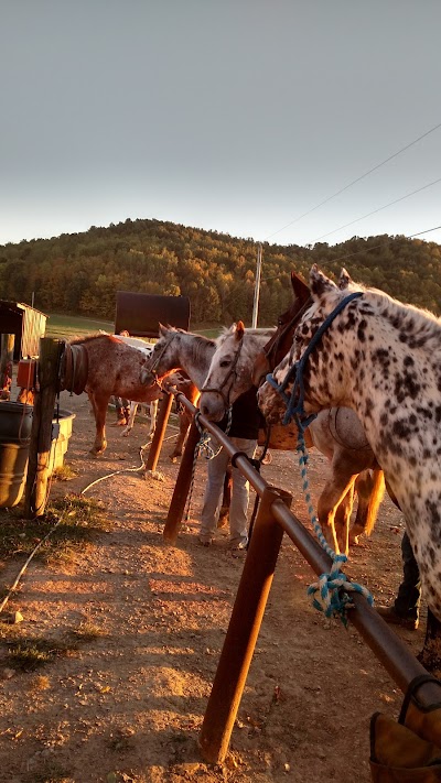 The Spotted Horse Ranch