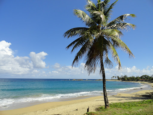 Paseo Lineal Isabela - Thumbnail