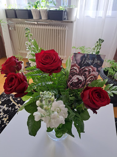 Lotusblommans massage