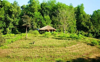 Photos of Meghla Parjatan Complex