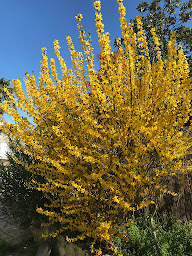 Photo n°55 de La table d'Alice à Caussade (Restaurant français)