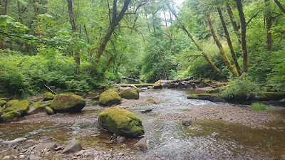 Archie Knowles Campground