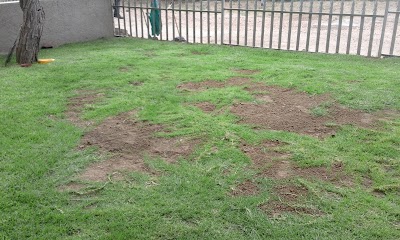 Photos of Jericho Heights Apartment
