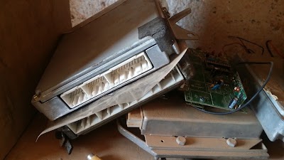 Photos of Sammy AUTO
