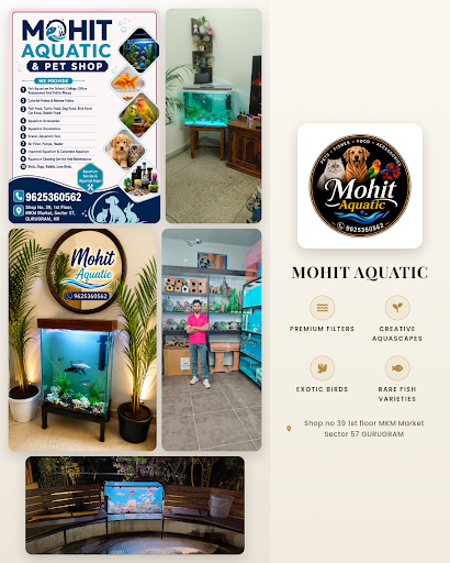Discover premium aquascaping solutions at MOHIT AQUATIC, your trusted aquarium near me. Explore a…