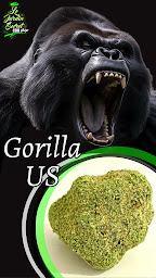 Photo n°6 de Le Jardin Secret à Uzès (Magasin de cannabis)