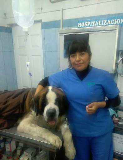 Veterinaria Casa Esmeralda
