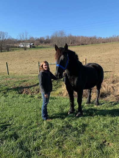 Sugar Run Stables