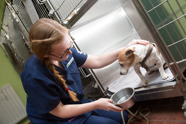 The Manor Veterinary Surgery