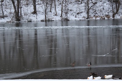 Narrows Duck Pond and Mill Dam