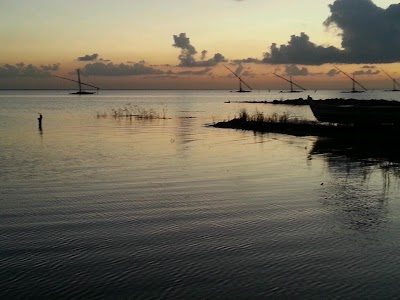 Photos of العنابرة
