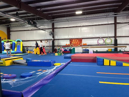 Waves Gymnastics - Visual