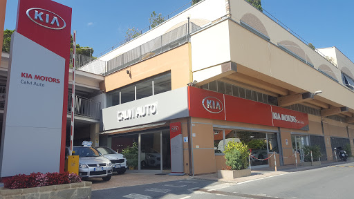 Calvi Auto - Visual
