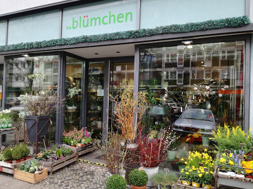 The Blümchen - Visual