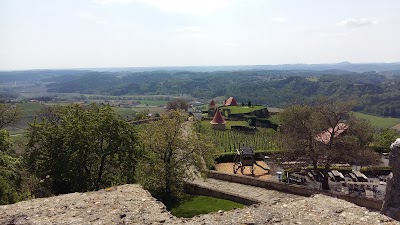 Photos of Greifvogelwarte Riegersburg