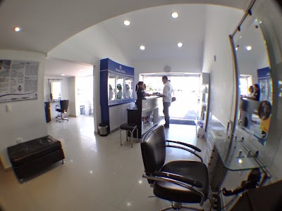 Photos of Mart&iacute;n Vidal Peluquer&iacute;a Colina II