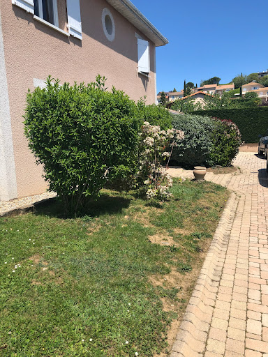 🌼 Entretien & Création de Jardin 🍀 Duvernay Paysage s’occupe de tout !