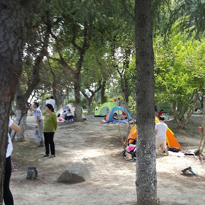 Photos of Kunshan Ecology Forest Park