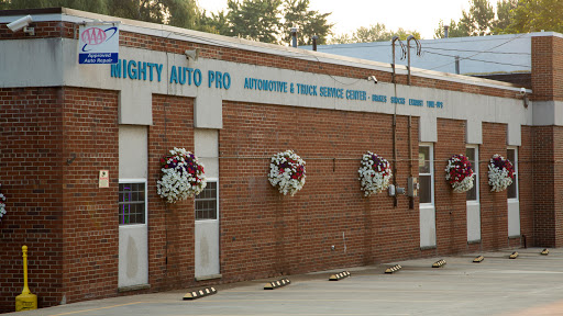 Mighty Auto Pro - Visual