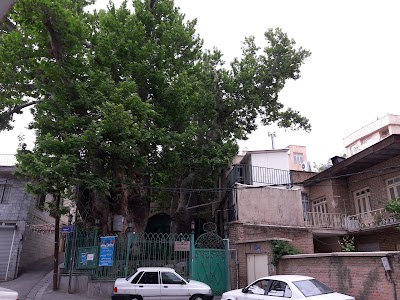 Photos of Mosque Sohanak