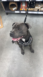 Photo n°24 de ZooMalin à Sartrouville (Animalerie)