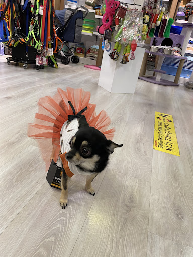 LIKYA PET AVM