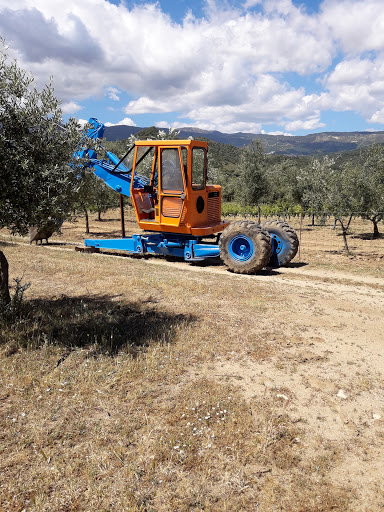 Tescere - Thumbnail