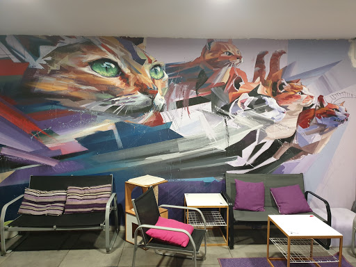 La Gatoteca - Visual