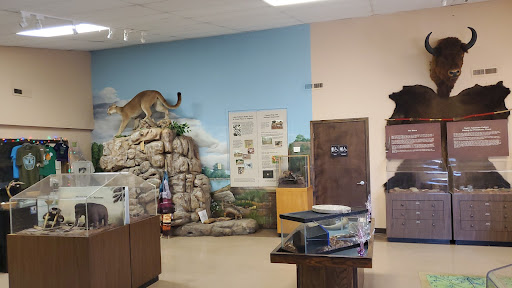 Deep Fork Campground - Visual