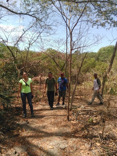 Photos of Sendero El Ojoche - Red de Senderos de Isla de Chira