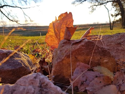 Lawrence Nature Park