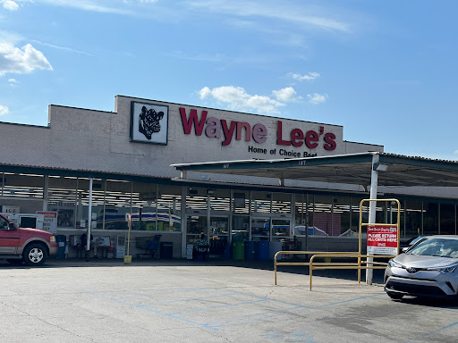 Wayne Lee's - Visual