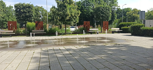 Aurachwiesen