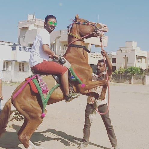 Dhinga Masti Academy